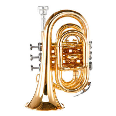 Trompete für Verrückte